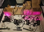 Spright Smart Blisslights Laser Projector Xmas Red Green Lot Of 4 *sweet*. Fixed Price $74.99.