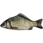 1PC Creative And Quirky Gift Simulated Fish Pen Bag Crucian Carp Stati. Fixed Price $8.37.