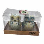 Salt & Pepper Shaker Set Floral Owls Boston Warehouse 3" Tall New In Package. Fixed Price $7.95.