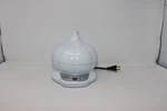 Hannon Roasted Garlic Express Rge 800 Electric Countertop White Tested Works. Fixed Price $49.99.