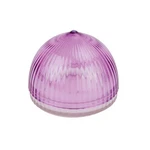 Tulz Canned-and-jarred-onions, 4 X 3.5 Inches, Purple, (37051). Fixed Price $12.79.