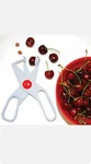 Norpro Deluxe Cherry Pitter And Olive Corer Plunger Tool. Fixed Price $9.99.