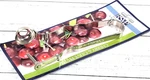 Rsvp International Endurance Cherry & Olive Pitter, Stainless. Fixed Price $14.99.